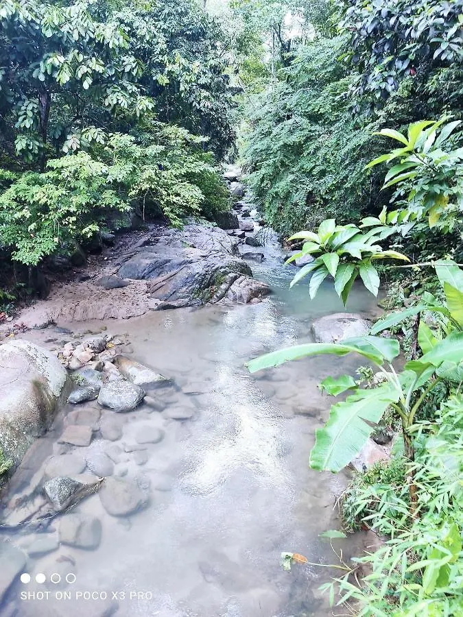 Sabai Sabai Guesthouse In Bayan Lepas 0*,  Malaysia