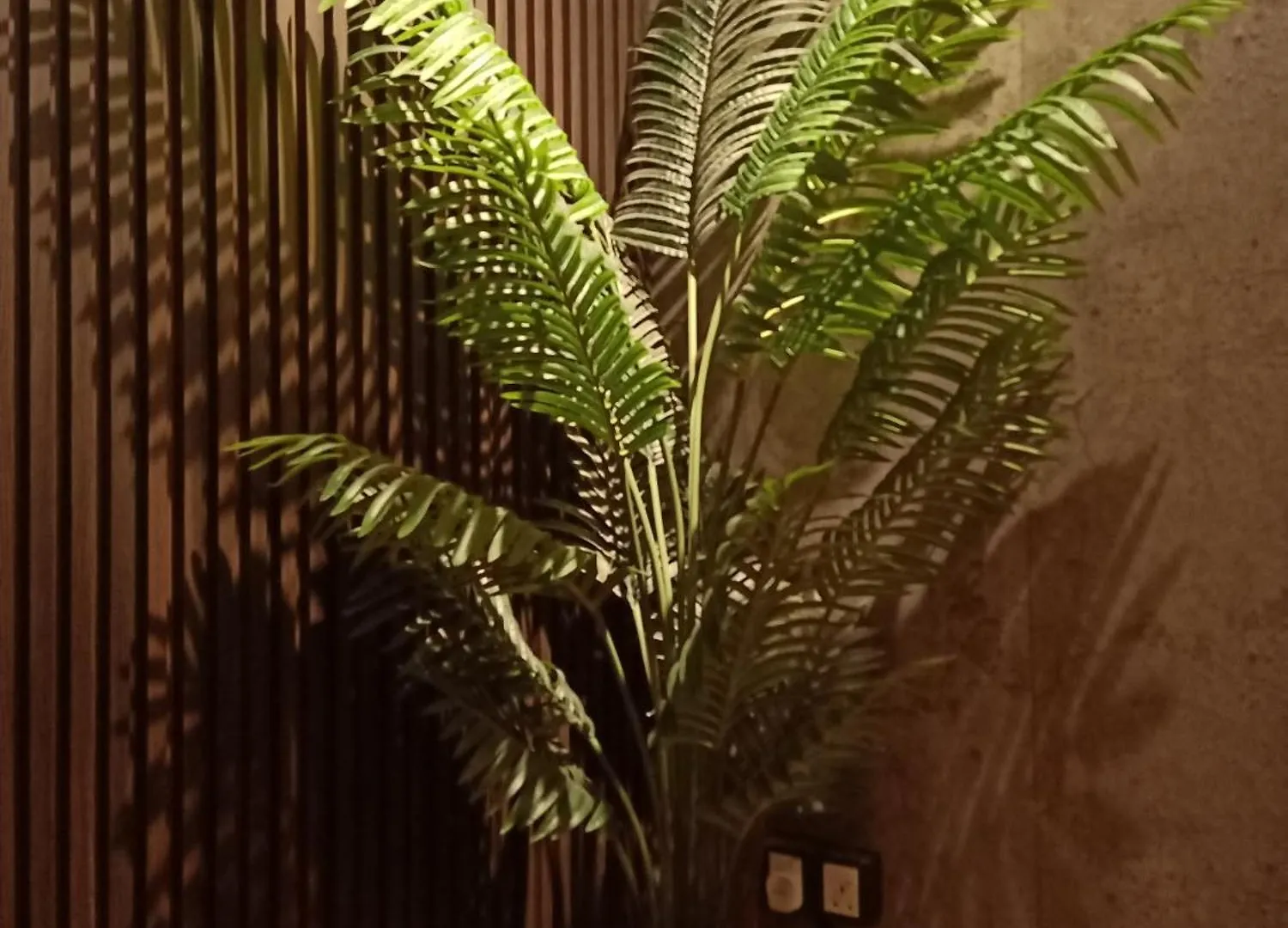 Sabai Sabai Guesthouse In Bayan Lepas Malaysia